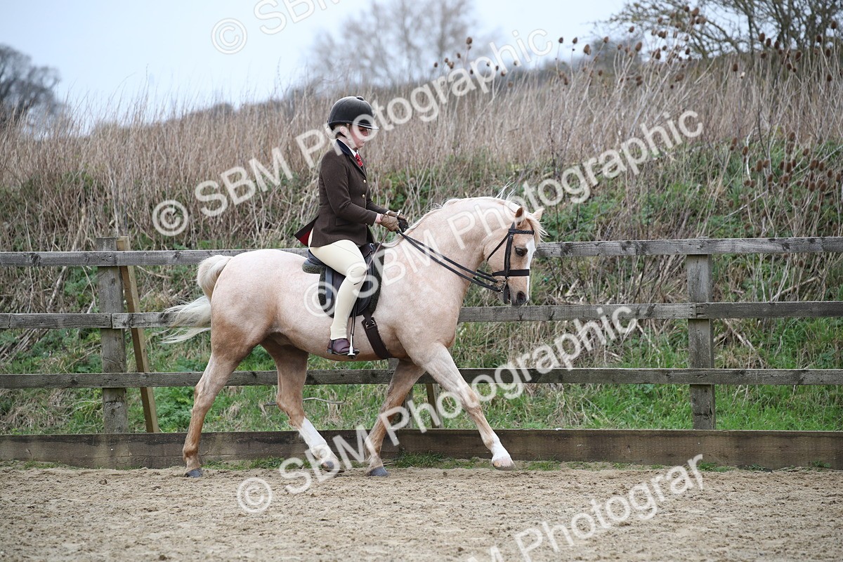 SBM_006324 - Class 10-13 - RIHS Small Large Breeds