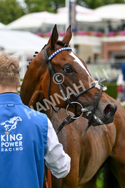 120724-Race 7-Lieber Power-6611 - Race 7 5.30pm William Hill Bet In Running Apprentice Handicap