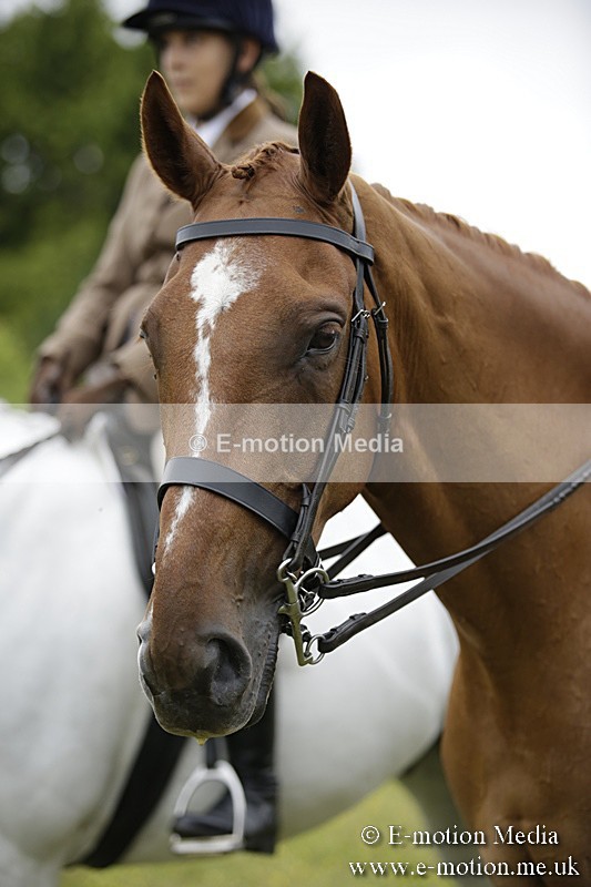 BVR160717-1019 - Ring 1 BVRC Show 16/07/17