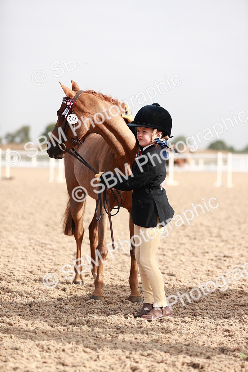 SBM_09920 - Class 203 Young Handler, 10 years and under