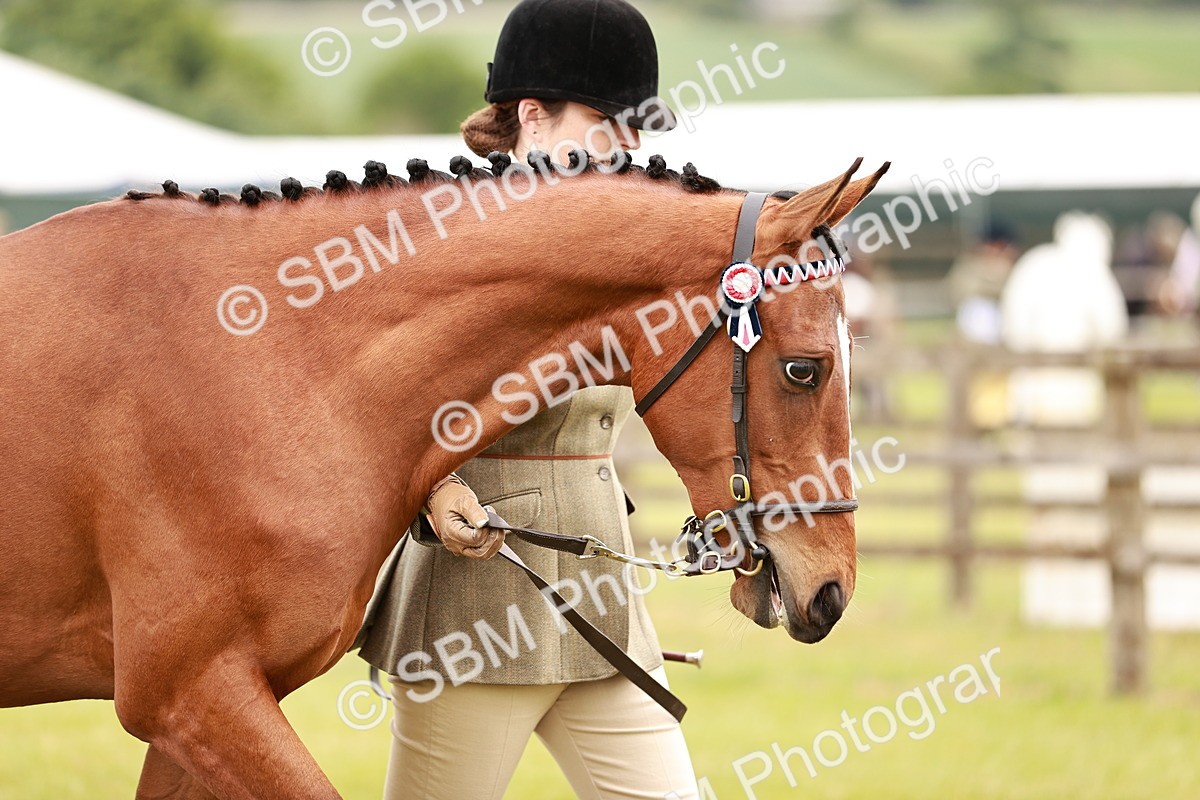 SBM_01710 - Class 31-34 Hack Breeding