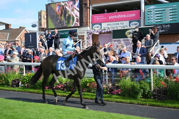 yr18082021r5-15 - Race 5 4.10pm Sky Bet Stakes