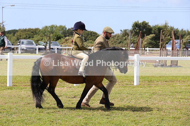 1X9A5086 - Class 36: NPS M&M Lead Rein