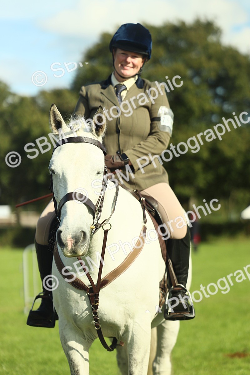 SBM_49842 - S32 - Novice & Newcomers Working Hunter