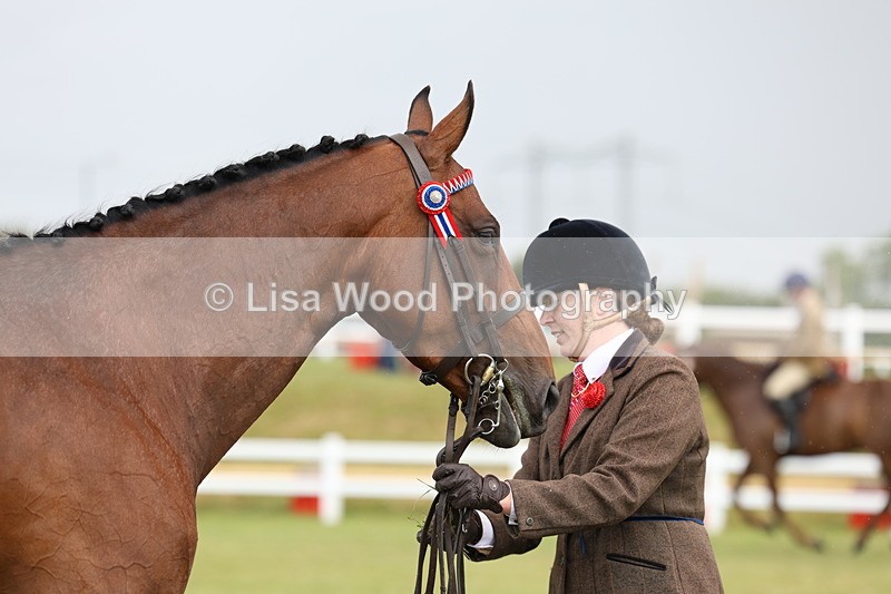 3E7A1072 - Class 8: Open Riding Horse/Hack