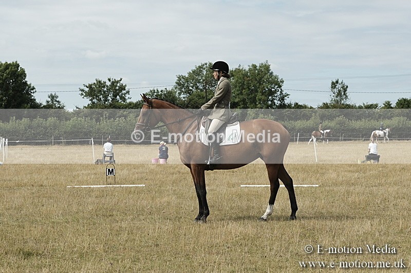 _PJP5799 - Dressage Classes BVRC Show 2018