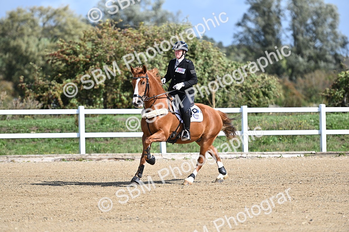 SBM_000590 - Class 40 - 70cm