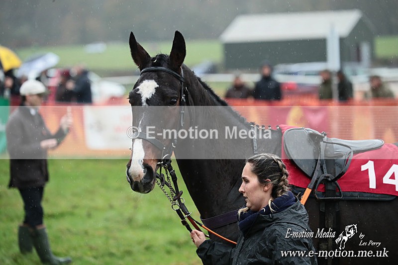 PtP 091125  0247 - Point-to-Point Wales Area Club Lower Machen, Gwent 09/11/25