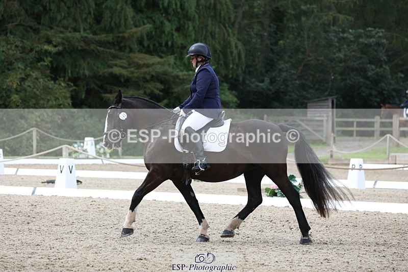 230812-111736-03723 - Cls 5 Novice Bronze 11.15 to 12.50 break