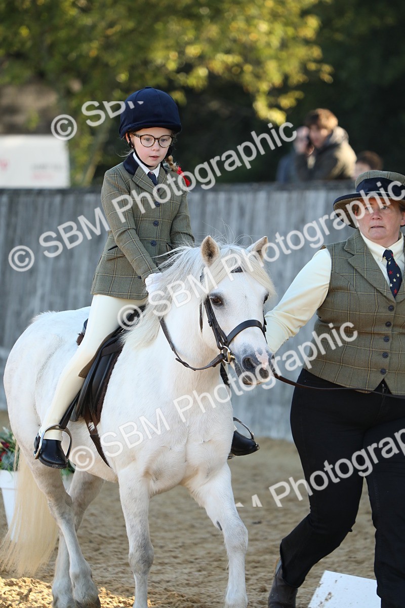 SBM_33598 - D26 - Starers - Lead Rein