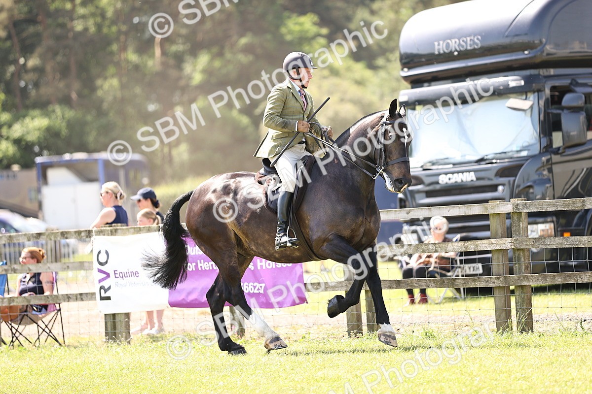 SBM_13843 - Class 77 - LIHS BSHA Rising Star Cobs