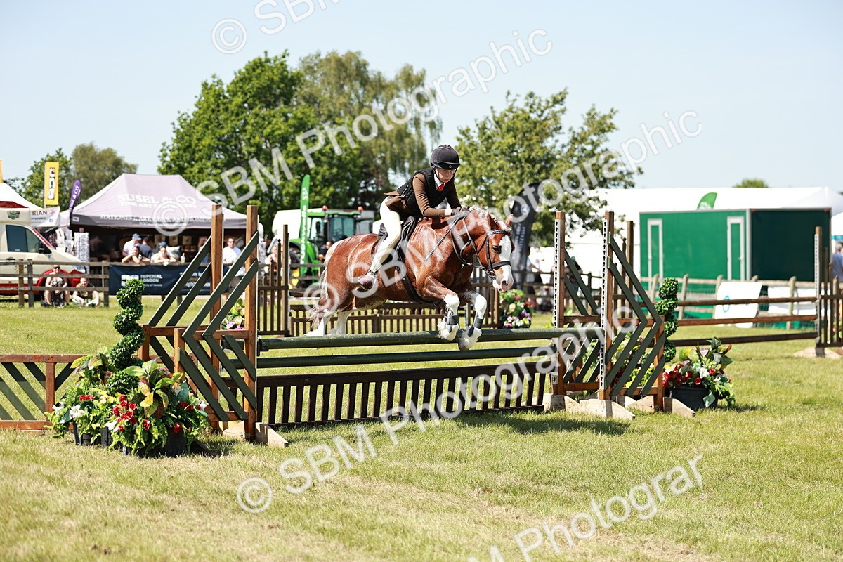 SBM_17617 - Class 112-113 - BSPS LIHS Working Sports Pony