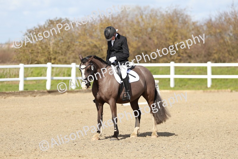 20260314-2957 - DR3 - Prelim 1