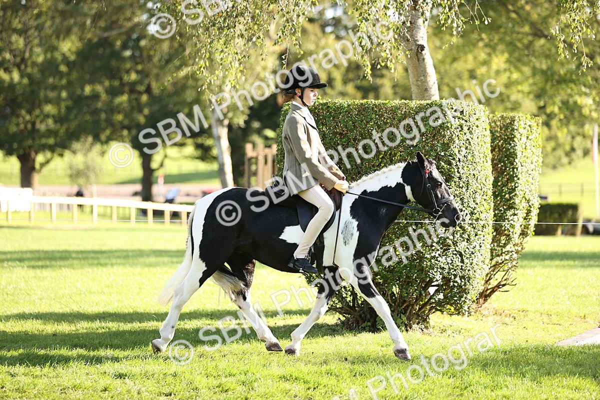 SBM_29344 - S7 - Novice & Newcomers Ridden Pony