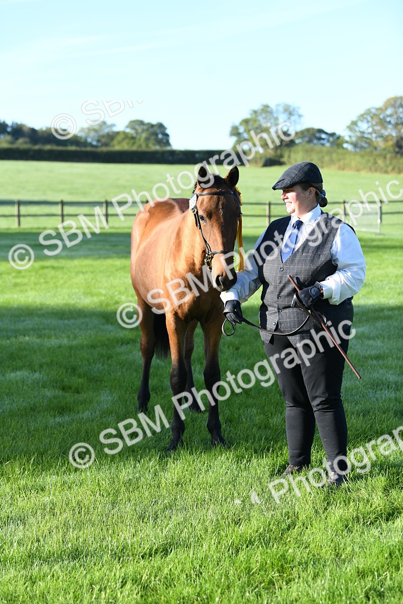 SBM_32852 - S15 - Condition & Turnout In Hand