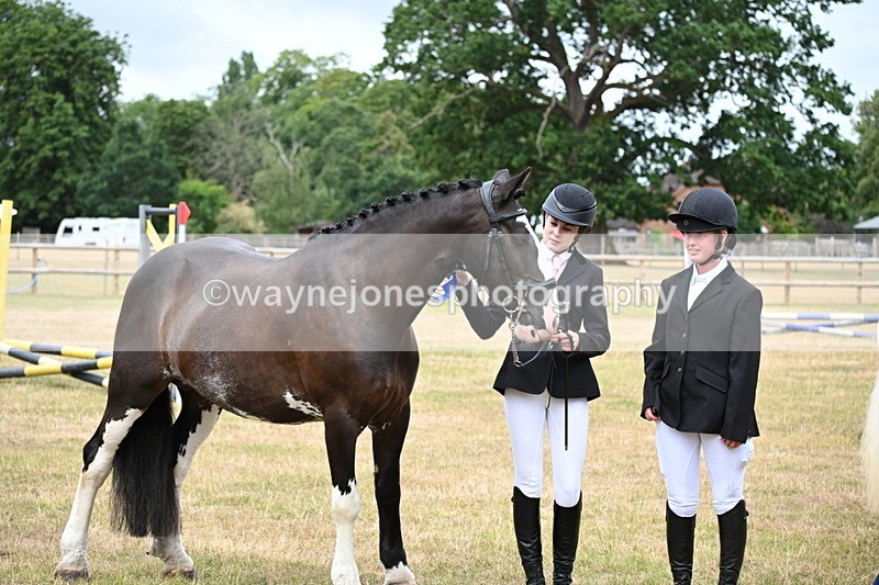 WJ6_4454 - Class 10 Coloured In-hand