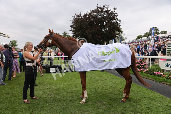 yr18082022r3-63 - Race 3 3.00pm Clipper Logistics Stakes