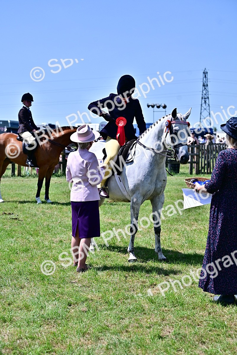 SBM_15433 - Class 95-97 - BSPS LHS Performance Ponies