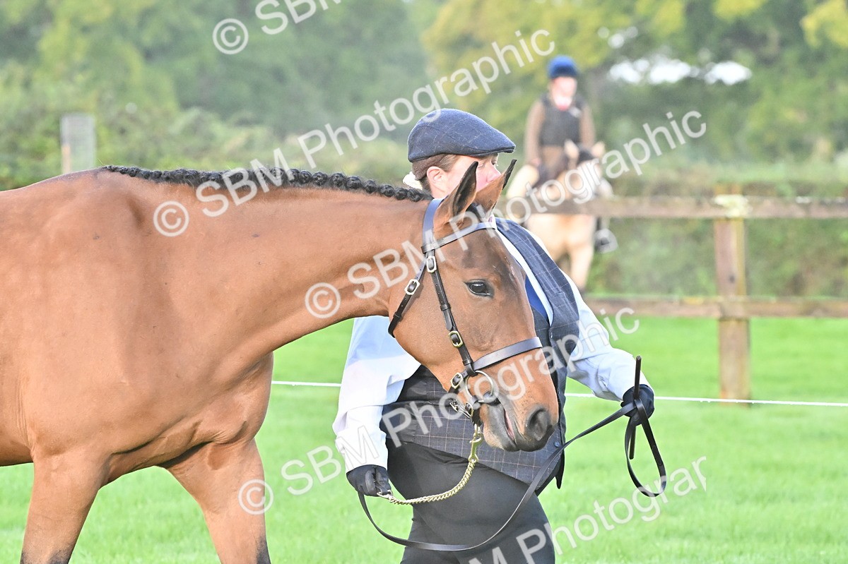 SBM_32568 - S15 - Top Turnout In Hand