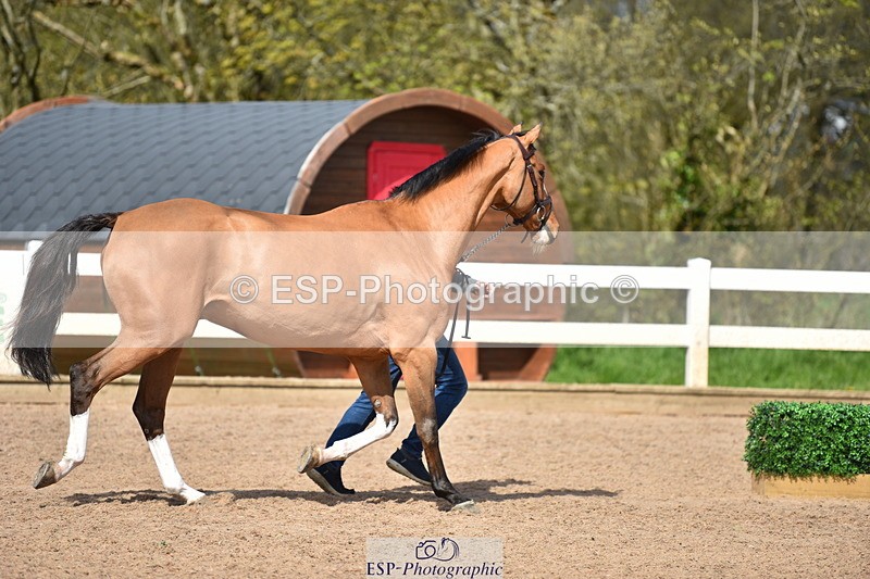 240417A-143904-00598 - 2pm to 3pm