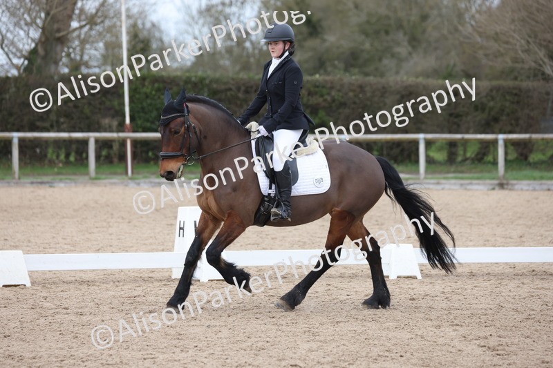 20260301-0955 - Class 6 - Elementary 5