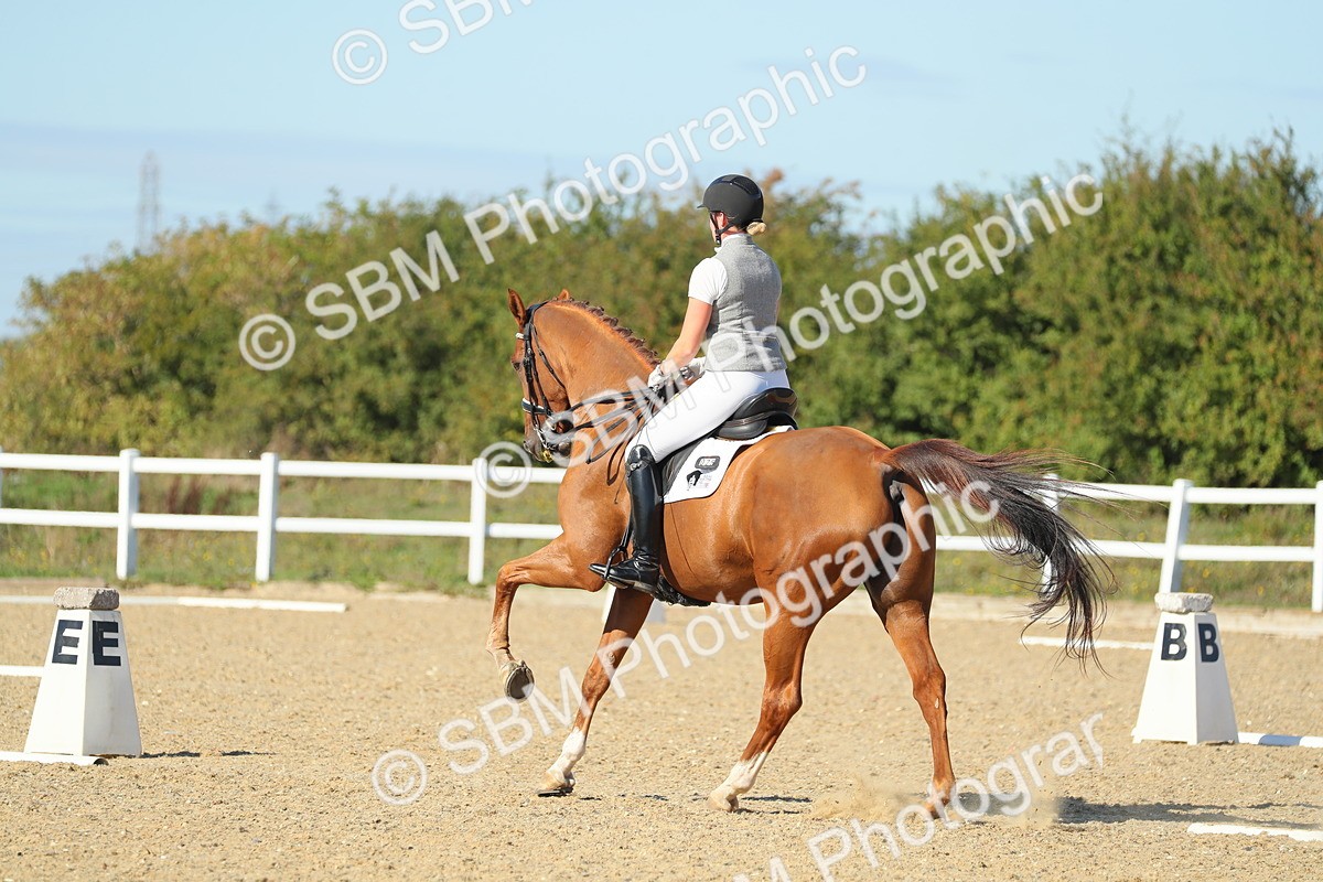 SBM_002208 - Class 11 - M5