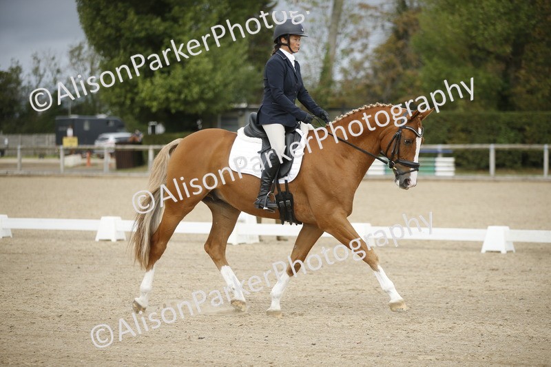 20260913-0192 - Class 3 - Novice 5