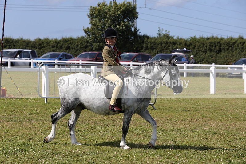 1X9A5482 - M&M Mini Ridden Championship