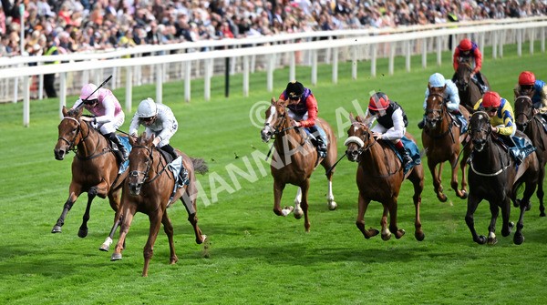 210825-174 Charlottes Web - Race 5 4.10pm British EBF & Sir Henry Cecil Galtres Stakes