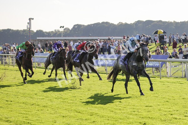 yr08102021r3-23 - Race 3 3.15pm Download The Casumo App Today Handicap