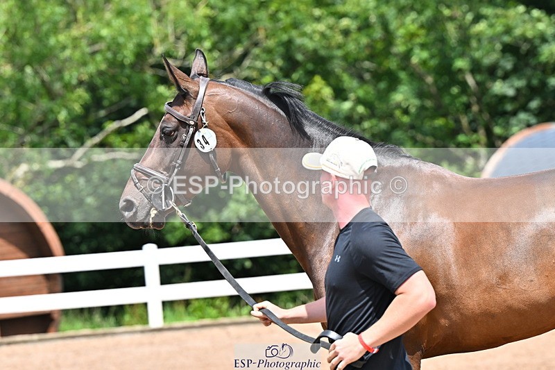 240718A-105314-01730 - Trot Up 1pm to 2pm