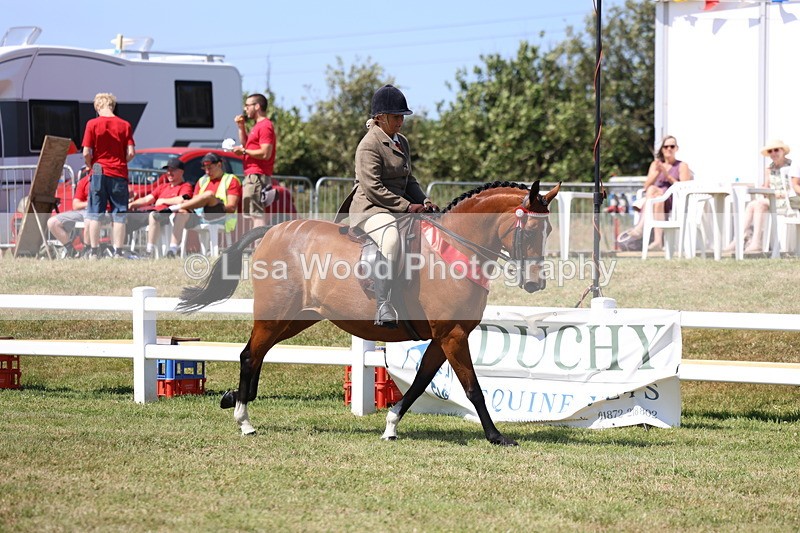 3E7A7640 - Rising Star Ridden Championship