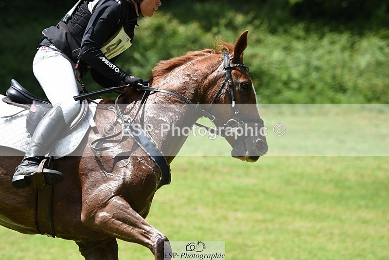 230528-131702-17519 - 409-HENTON_FIRST_LADY-Bundy_Philpott-XC