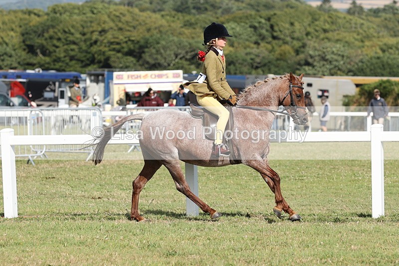 JPP_2896 - Class 20: Working Hunter 70cm