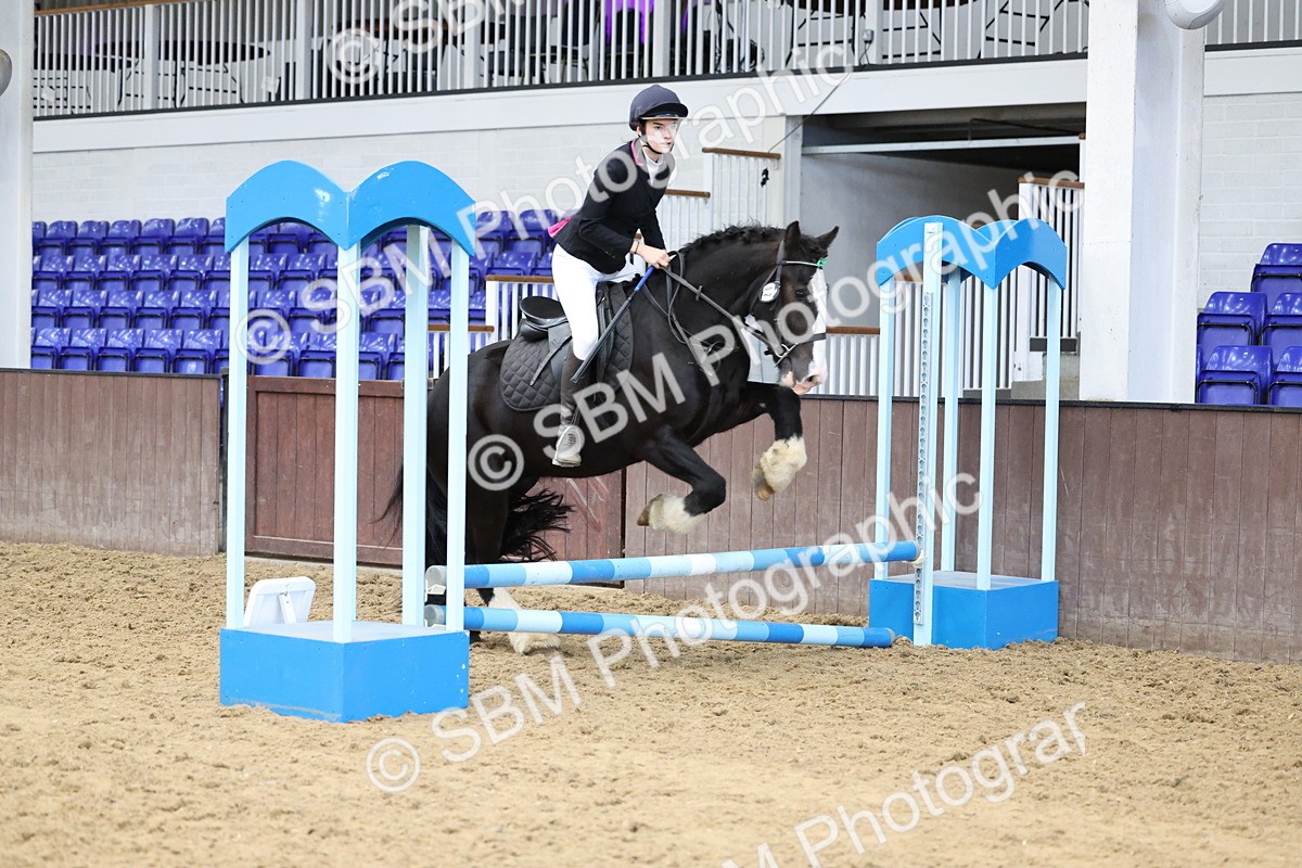 SBM_007305 - Class 2 - 50cm showjumping