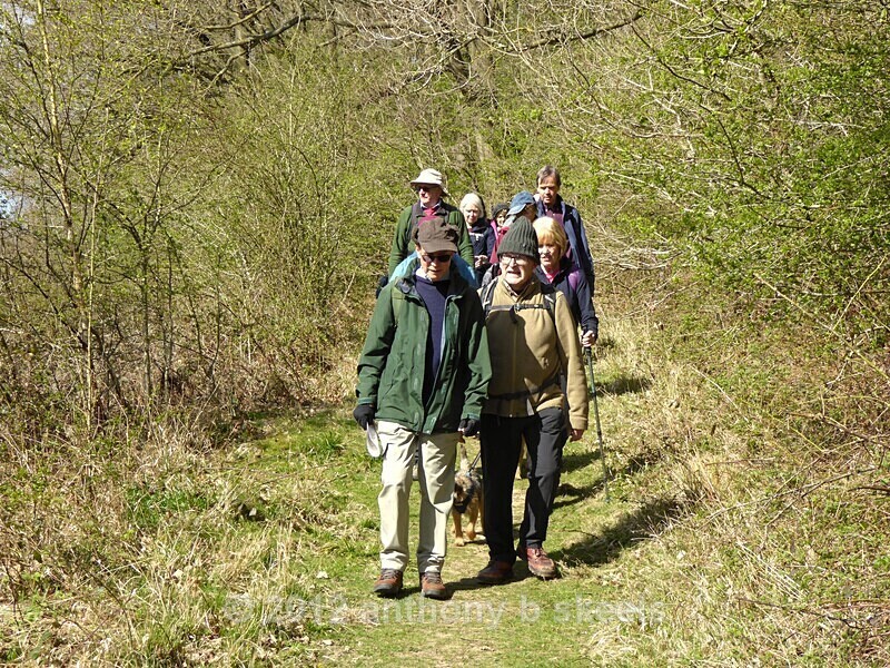 022 Steady progress towards Low Hutton - York Minster Walkers Collection 2025