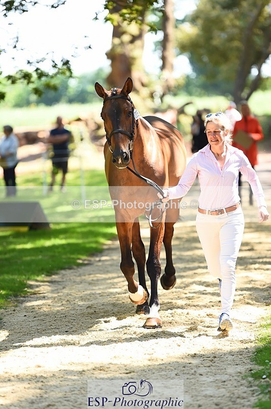 230524-150358-00042 - 305-BARRINGTON_57-Izzy_Taylor-WEDTrotUp+DR