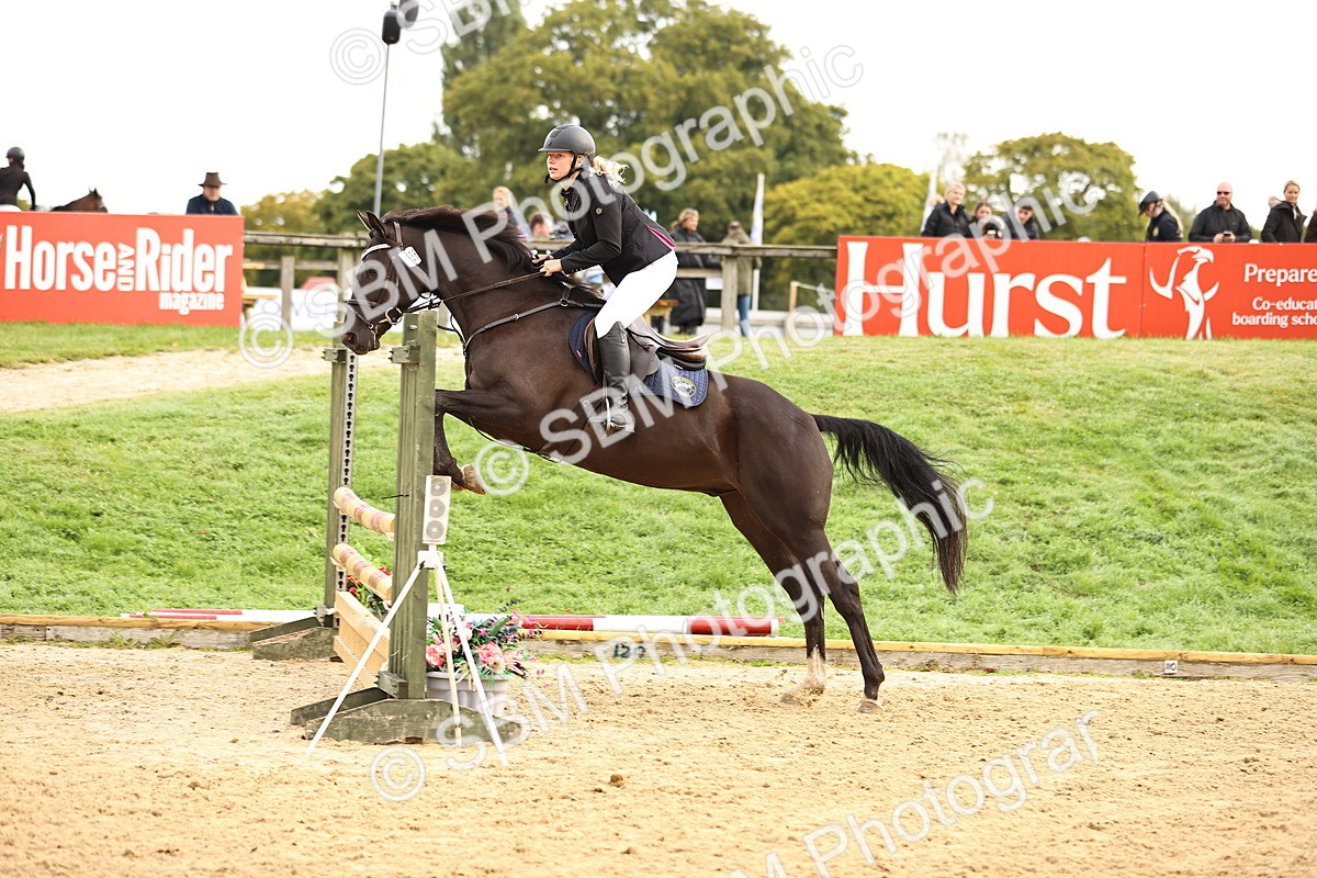 SBM_58474 - J41 - Grand Tour Horse & Pony 95cm