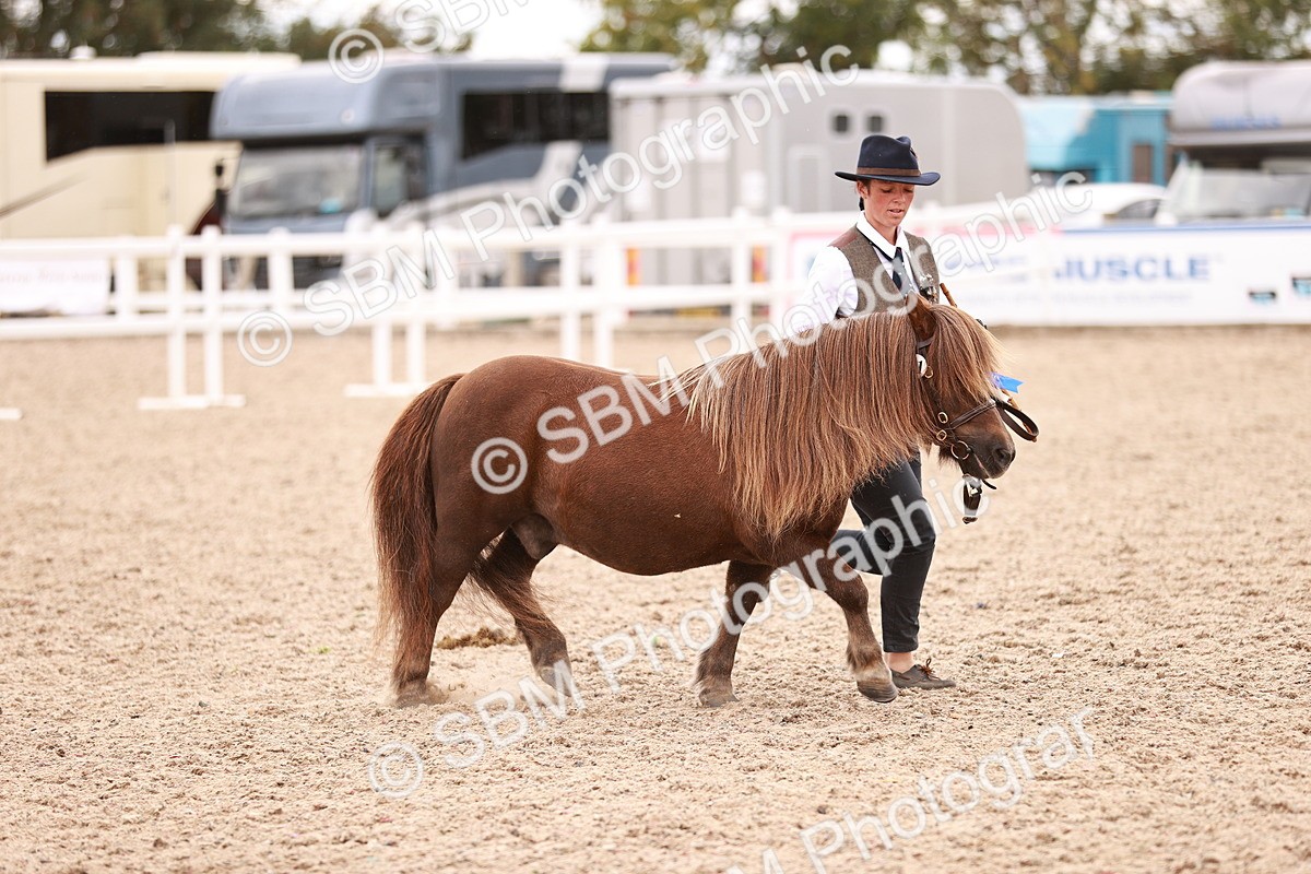 SBM_16879 - Class414 - Best maine & Tail - Adult