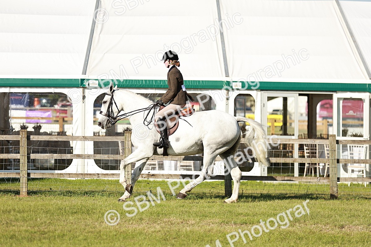 SBM_20002 - Class 115-116 - LIHS BSHA Rising Star Working Hunter & Show Horse