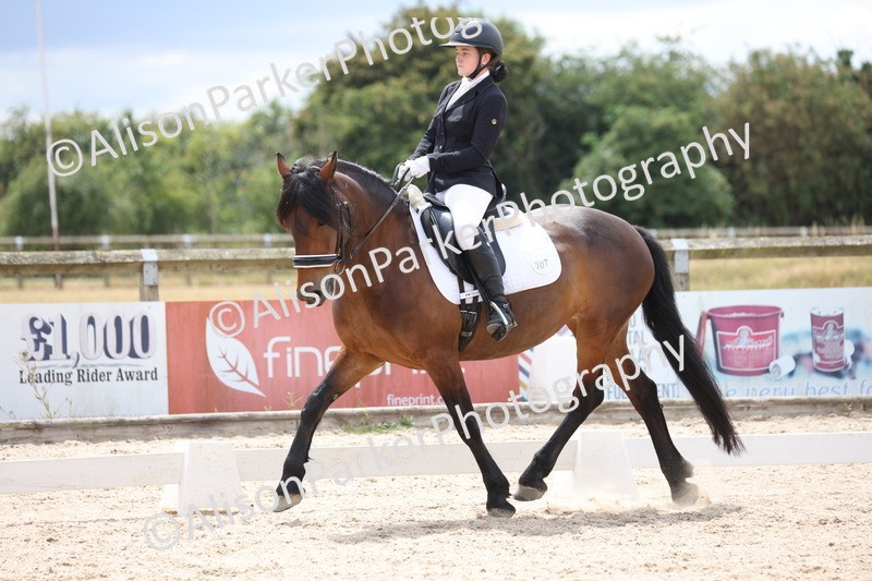 20250706-0466 - Class 17 - Elementary 5