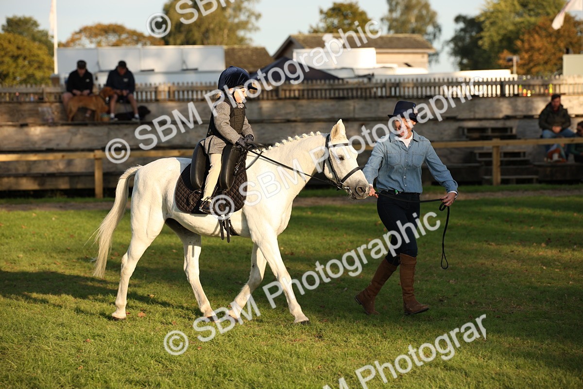 SBM_54476 - S27 - Mature Veteran - Ridden