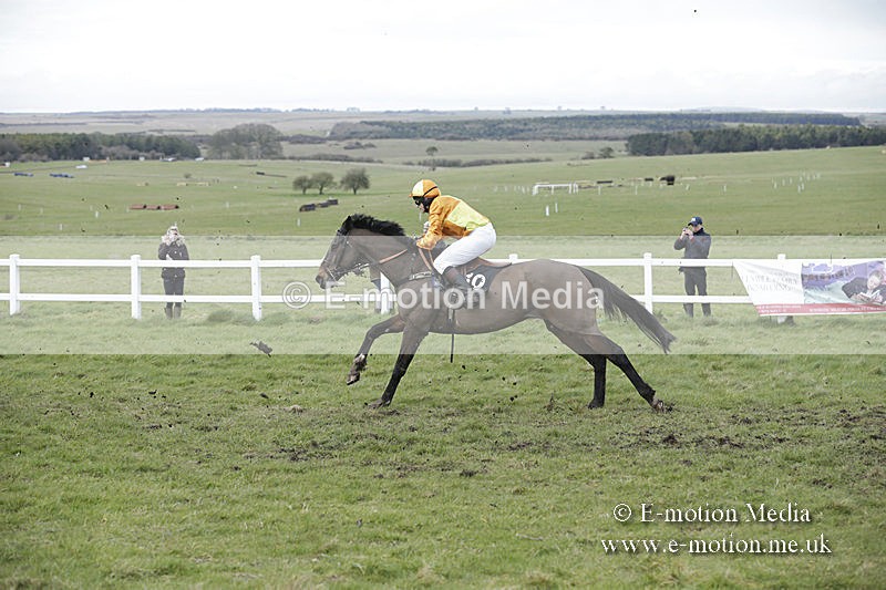 PtP 150320 0690 - New Forest Point-to-Point Larkhill 15/03/20