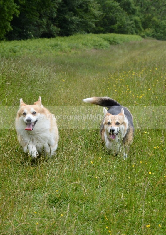 - Eric, Ulla, Maisie and Lola