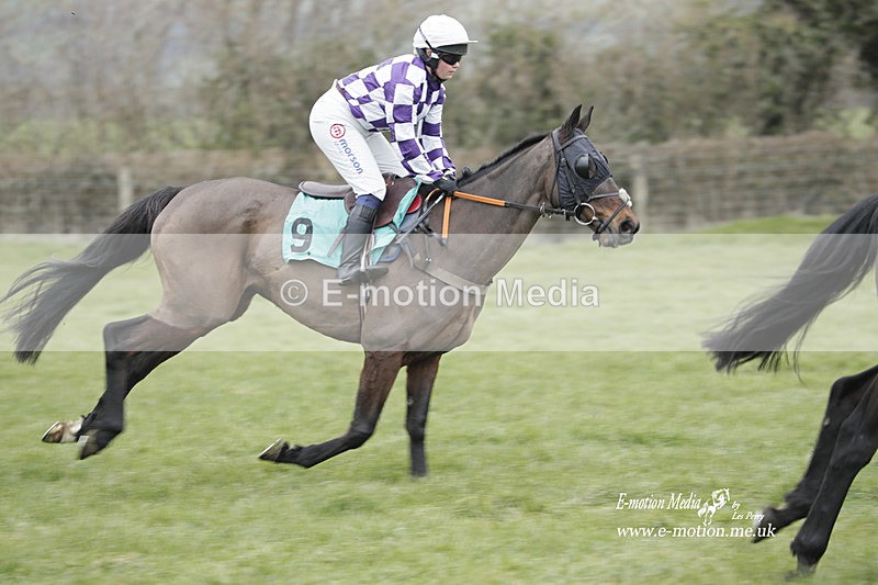 PtP 050323 398 - Blackmore & Sparkford Vale Hunt PtP - Somerset 05/03/23