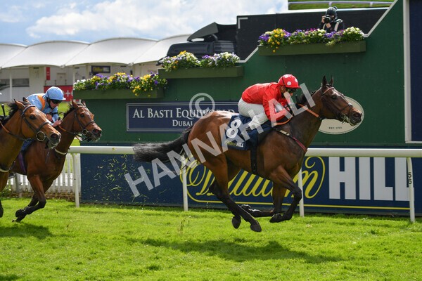 yr22052021r4-32 - Race 4 3.50pm WilliamHill.com Best Odds Guaranteed Stakes