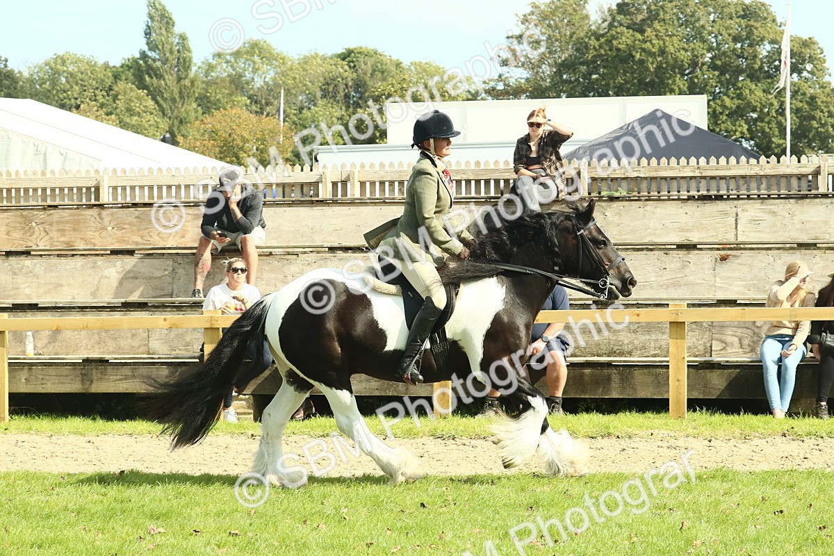 SBM_67583 - S56 - Coloured Pony Ridden