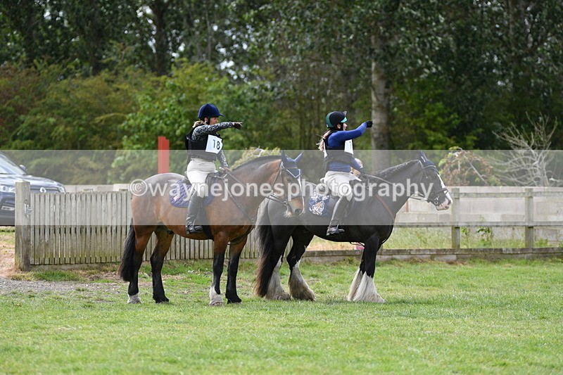 WJ5_2767 - Class 3 60cm Pairs