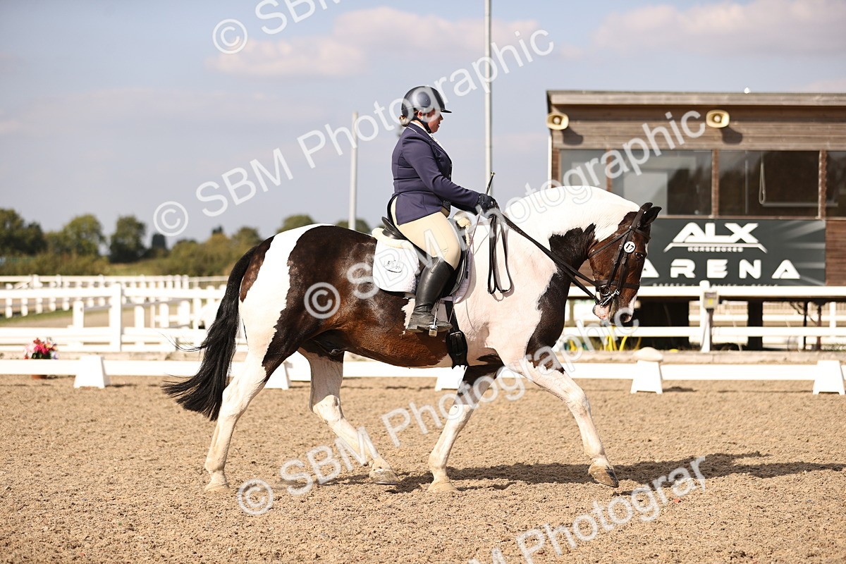 SBM_08089 - Class 39 Medium 3