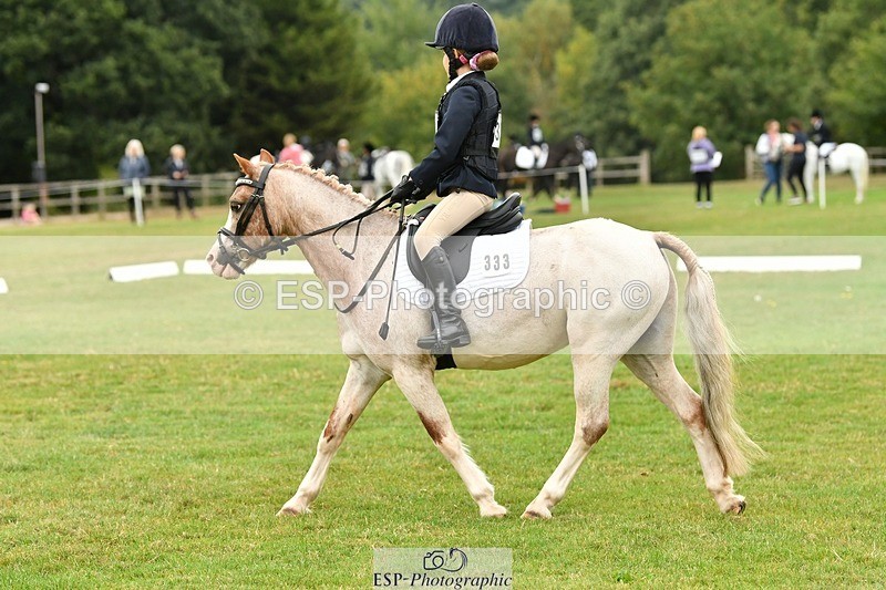 250820A-103809-04664 - Start to 11am